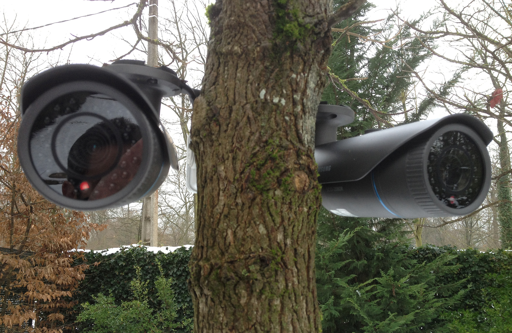 protection habitation home cinema paris arbre jardin